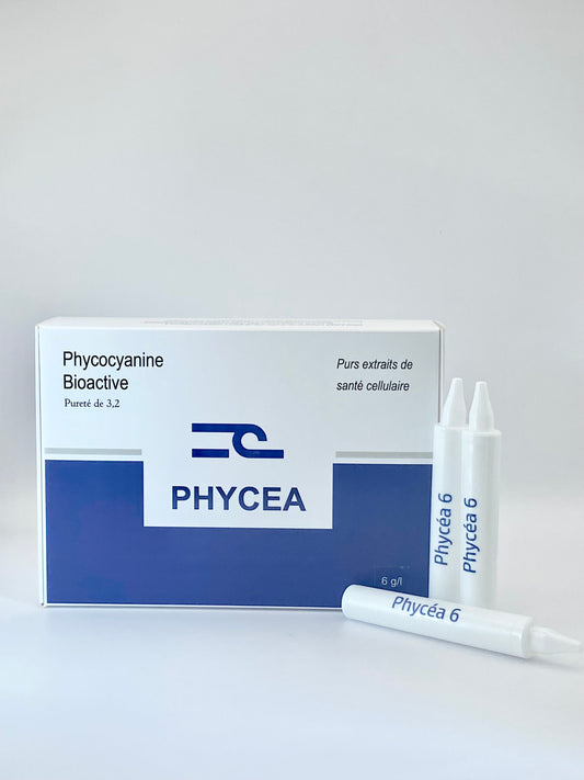 PHYCEA 6